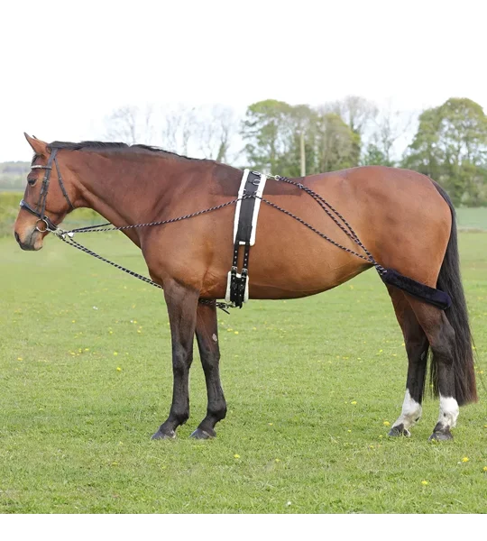 Hy Equestrian Lunging System