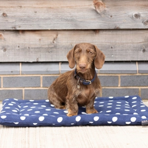 Supreme Products Dotty Fleece Dog Bed Noble Navy