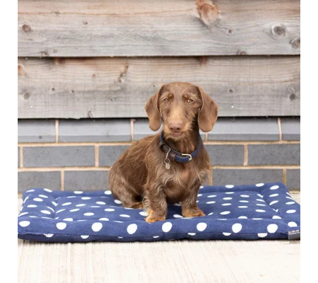 Supreme Products Dotty Fleece Dog Bed Noble Navy