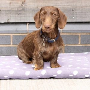 Supreme Products Dotty Fleece Dog Bed Lavish Lilac