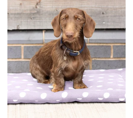 Supreme Products Dotty Fleece Dog Bed Lavish Lilac