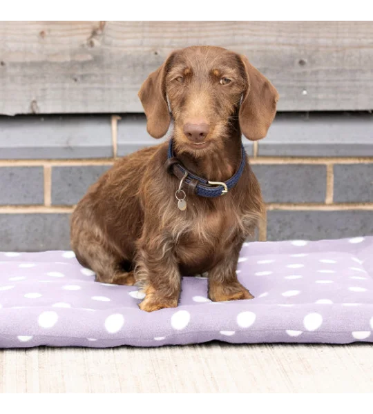 Supreme Products Dotty Fleece Dog Bed Lavish Lilac