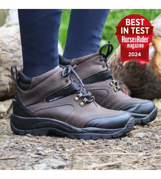 Brogini 449 Montiere Heavy Duty Yard Boots Brown