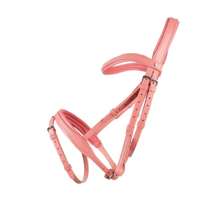 Serena Bridle by Little Rider Pink