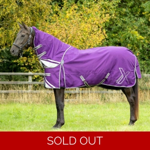 DefenceX Shield 300g Turnout Rug with Detachable Neck