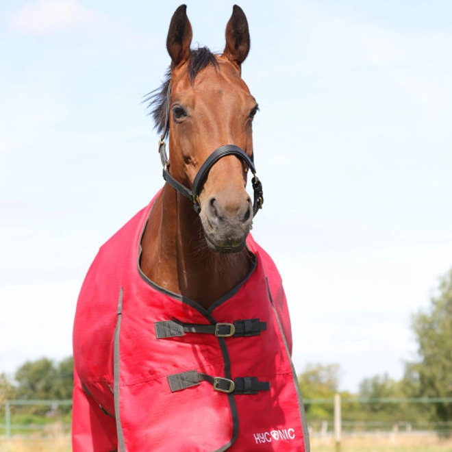 Additional Image for HyCONIC 200g Turnout Rug Red