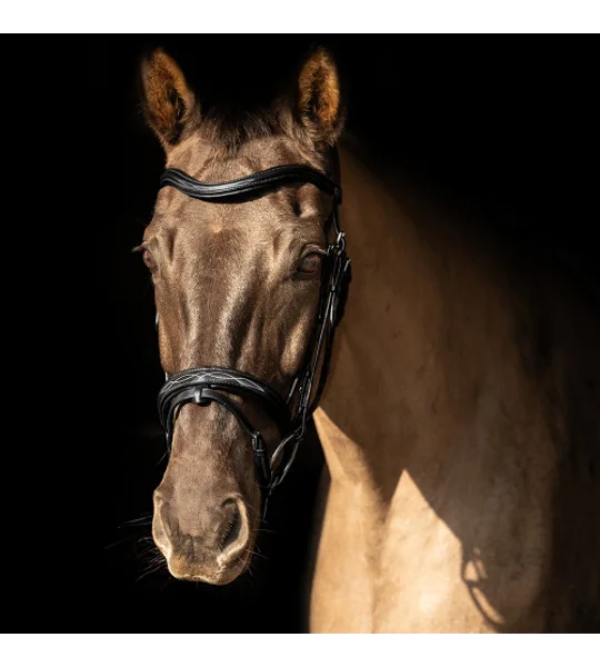 ProPresicce Pelle Flash Leather Bridle by Hy Equestrian Black/Silver