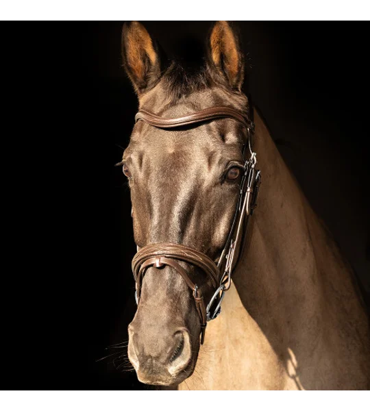 ProPresicce Pelle Flash Leather Bridle by Hy Equestrian Brown/Silver