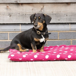 Supreme Products Dotty Fleece Dog Bed Paradise Pink