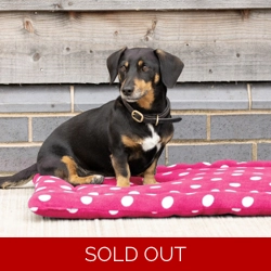 Supreme Products Dotty Fleece Dog Bed Paradise Pink