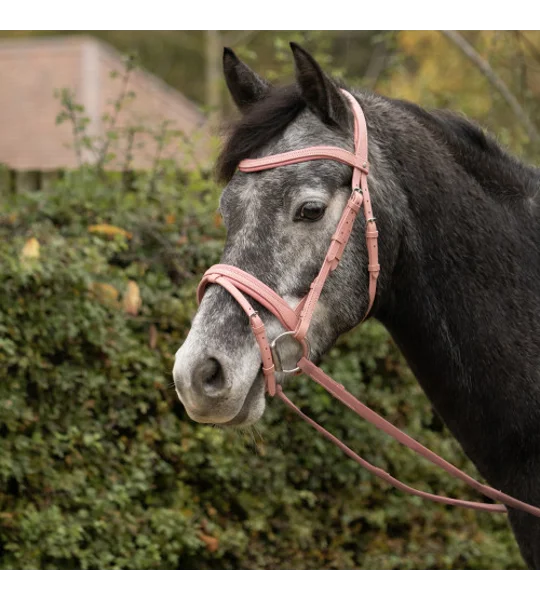 Serena Reins by Little Rider Pink - Pony 48"