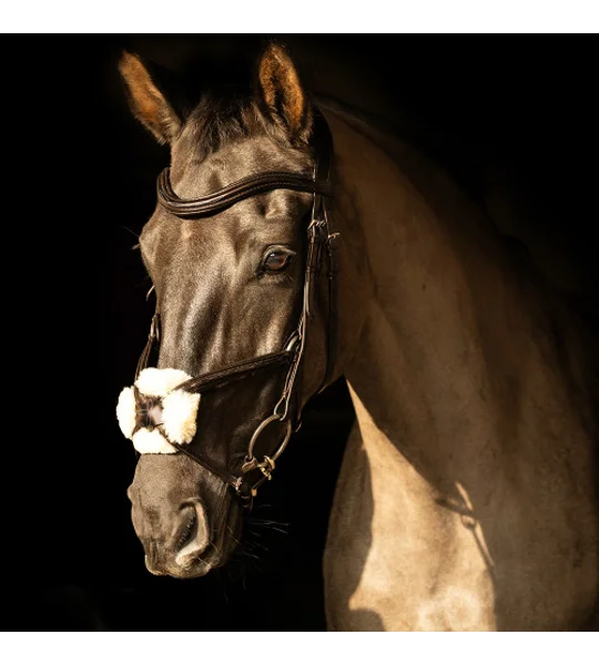 ProPresicce Pelle Grackle Leather Bridle by Hy Equestrian Brown/Brass