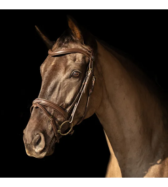 ProPresicce Pelle Flash Leather Bridle by Hy Equestrian Brown/Brass