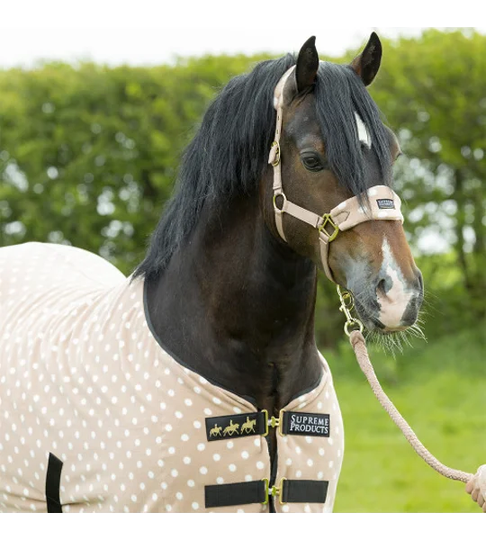 Supreme Products Dotty Fleece Rug Luxurious Latte