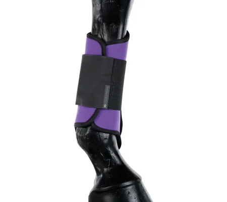 Hy Equestrian Brushing Boots - Purple
