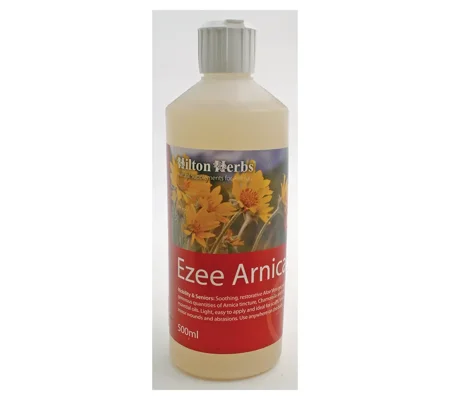 Hilton Herbs Ezee Arnica Gel 500ml