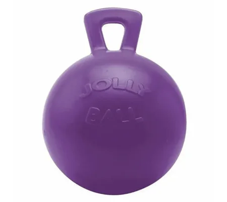 Horsemen's Pride Jolly Ball 10" Purple