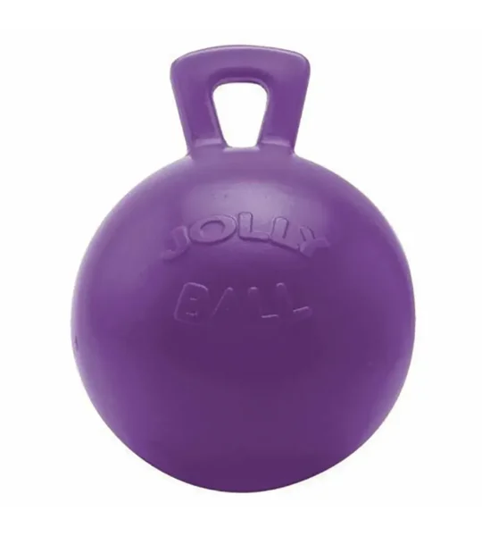 Horsemen's Pride Jolly Ball 10" Purple