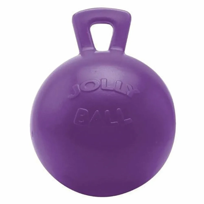 product Image for Horsemen's Pride Jolly Ball 10" Purple