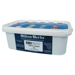 Hilton Herbs Garlic Powder
