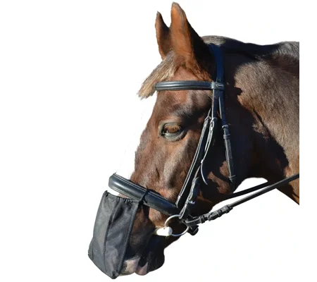 Hy Equestrian Nose Shield