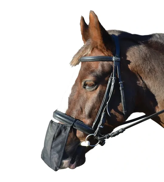 Hy Equestrian Nose Shield