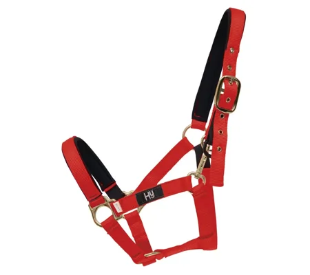 Hy Equestrian Fieldsafe Head Collar Red