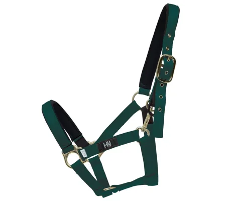 Hy Equestrian Fieldsafe Head Collar Green