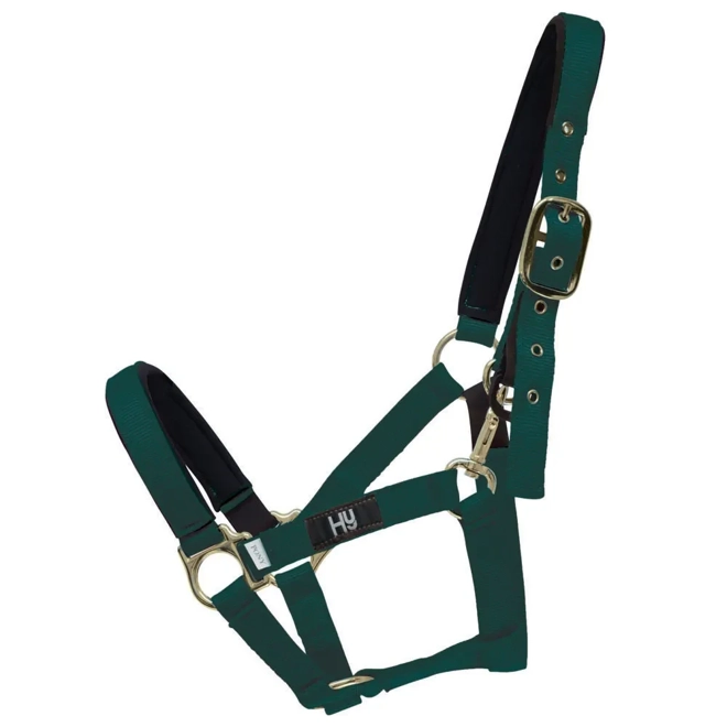 product Image for Hy Equestrian Fieldsafe Head Collar Green