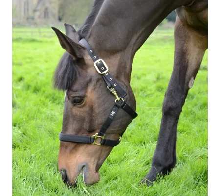Hy Equestrian Fieldsafe Head Collar Black
