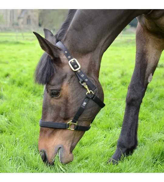 Hy Equestrian Fieldsafe Head Collar Black