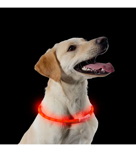 Ancol Night Safety Rechargeable Flashing Band Orange