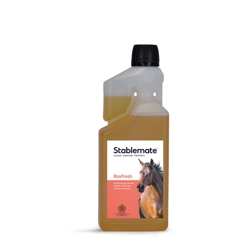 Agma Stablemate Boxfresh 1LT