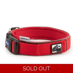 Ancol Extreme Ultra Padded Collar Red