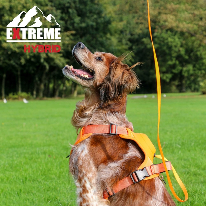 product Image for Ancol Extreme Hybrid Harness Orange