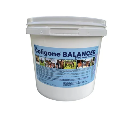Coligone Balancer Powder - 3 Kg