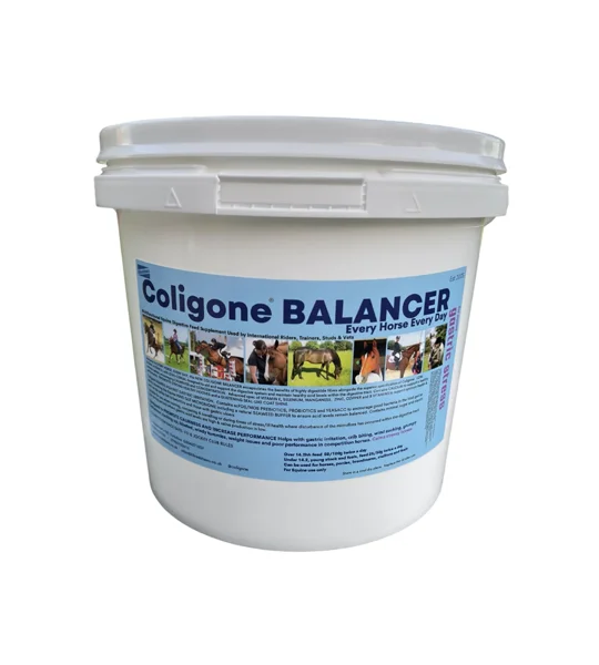 Coligone Balancer Powder - 3 Kg