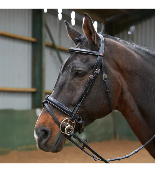 Whitaker BR048A Eastwood Crank Bridle with Reins Black