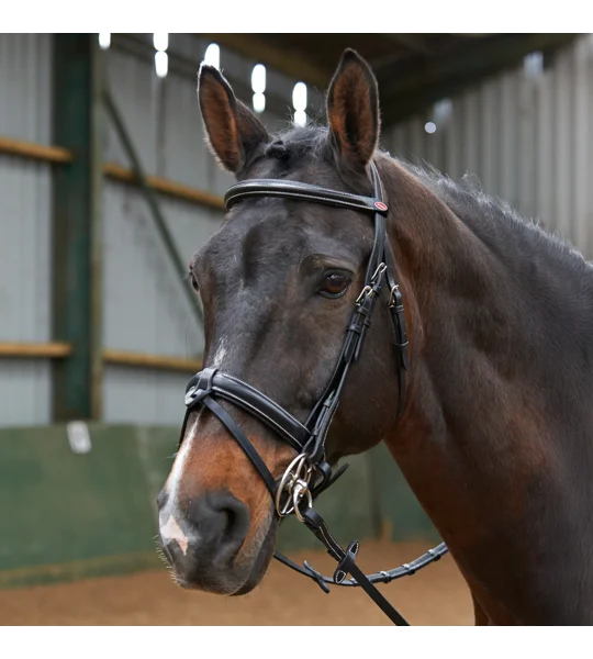 Whitaker BR048A Eastwood Crank Bridle with Reins Black