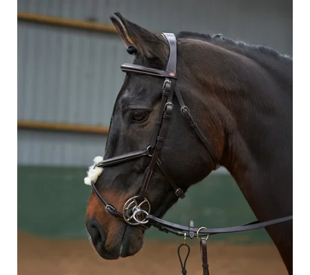 Whitaker BR050A Eastwood Mexican Bridle with Reins Black