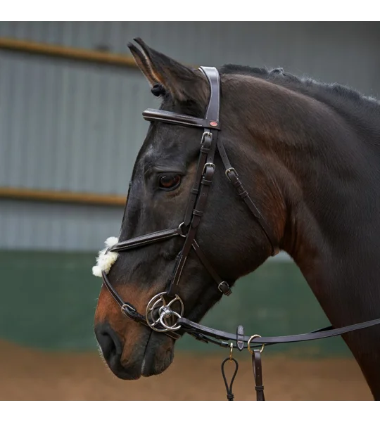 Whitaker BR050A Eastwood Mexican Bridle with Reins Light Havana