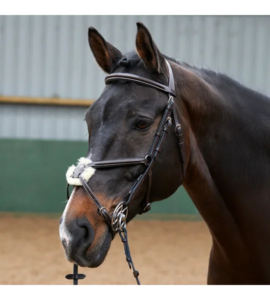 Whitaker BR050A Eastwood Mexican Bridle with Reins Light Havana
