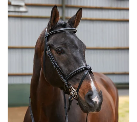 Whitaker BR051A Eastwood Raised Flash Bridle with Reins Black