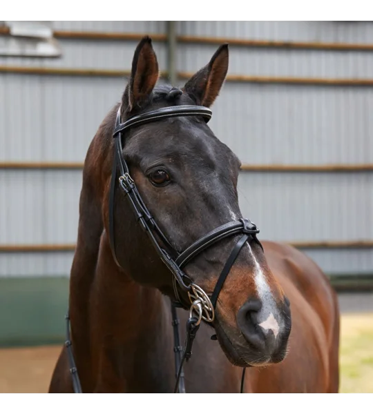 Whitaker BR051A Eastwood Raised Flash Bridle with Reins Black