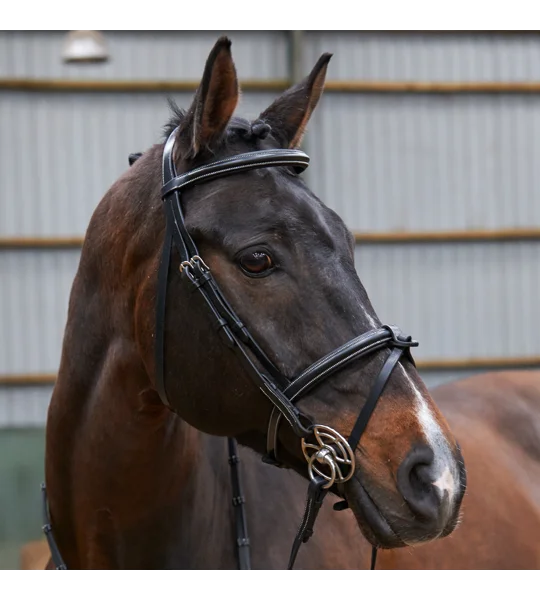 Whitaker BR051A Eastwood Raised Flash Bridle with Reins Black
