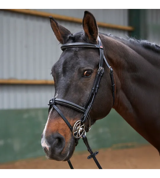 Whitaker BR051A Eastwood Raised Flash Bridle with Reins Black