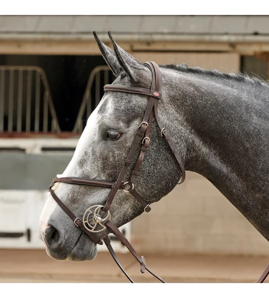 Whitaker BR055 Ready to Ride Mexican Bridle Havana