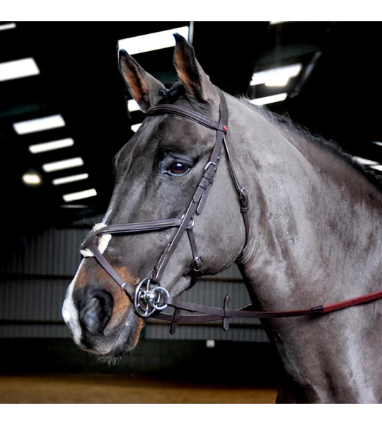 Whitaker BR055 Ready to Ride Mexican Bridle Havana