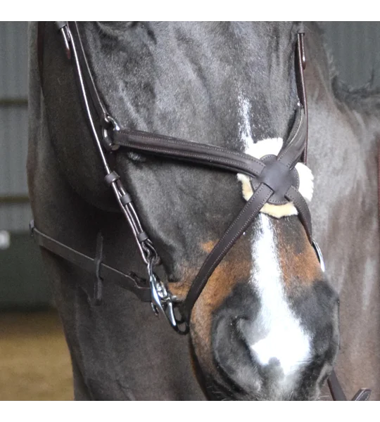 Whitaker BR055 Ready to Ride Mexican Bridle Havana