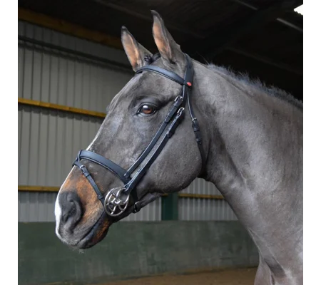 Whitaker BR056 Ready to Ride Snaffle Bridle Black